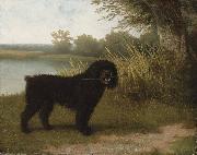 A black water dog with a stick by a lake